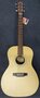 Soundsation-M2-electro-acoustic-Grand-Teton-series-OOO