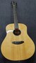 Breedlove-Premier-Series-21E-dreadnought-met-luxe-koffer