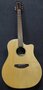 Breedlove-Dreadnought-Plus-Persuit-Series-met-gigbag