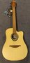 Lâg-T70DCE-Tramontane-dreadnought-met-element-naturel