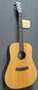 Kremona-steelstring-gitaar-R-30-dreadnought