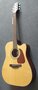 Takamine-GD10CENS-Dreadnought-gitaar-met-cutaway-en-element