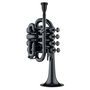 Coolwind-Piccolotrompet-zwart-met-case