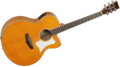 Tanglewood-Super-Jumbo-Evolution-Exotic-Viscount-Trans-Orange-nu-met-koffer