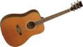 Tanglewood-Evolution-Natural-Satin-Dreadnought