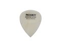 Exotic-Bone-Pick-plectrum